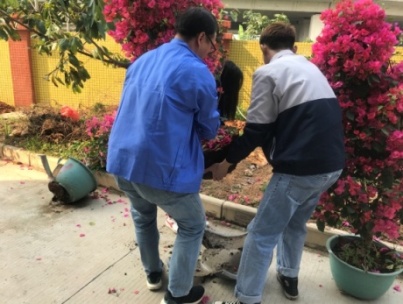 澳门新澳网官方网站