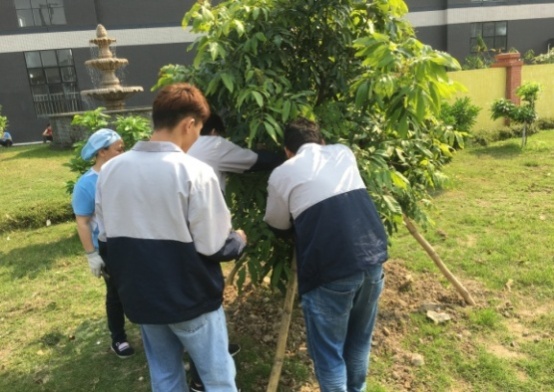 澳门新澳网官方网站